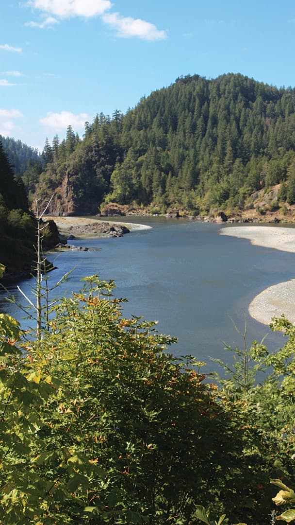 A serene river flows through a lush green landscape under a clear blue sky, surrounded by mountains and trees.