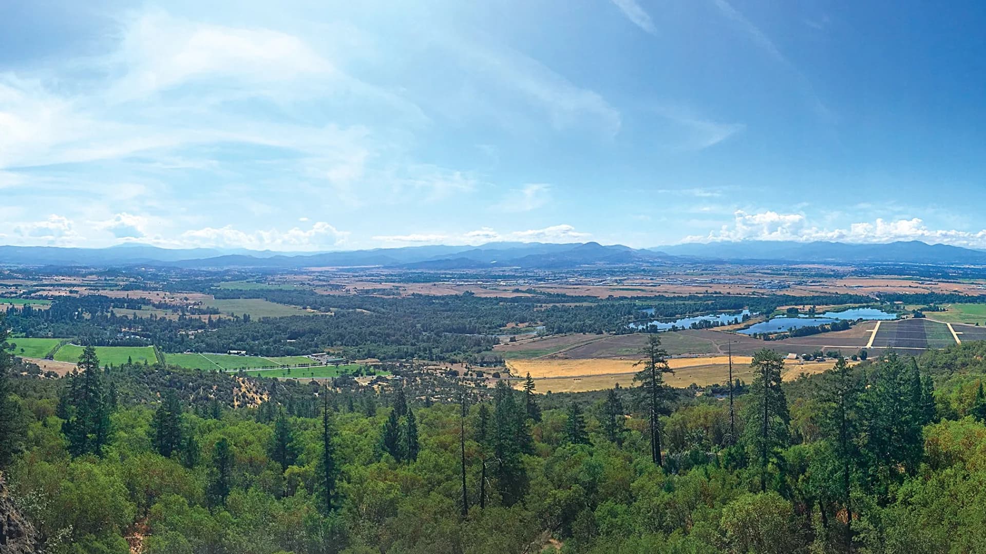 Panoramic view of rolling hills, fields, and distant mountains under a bright blue sky. Greenery in the foreground.