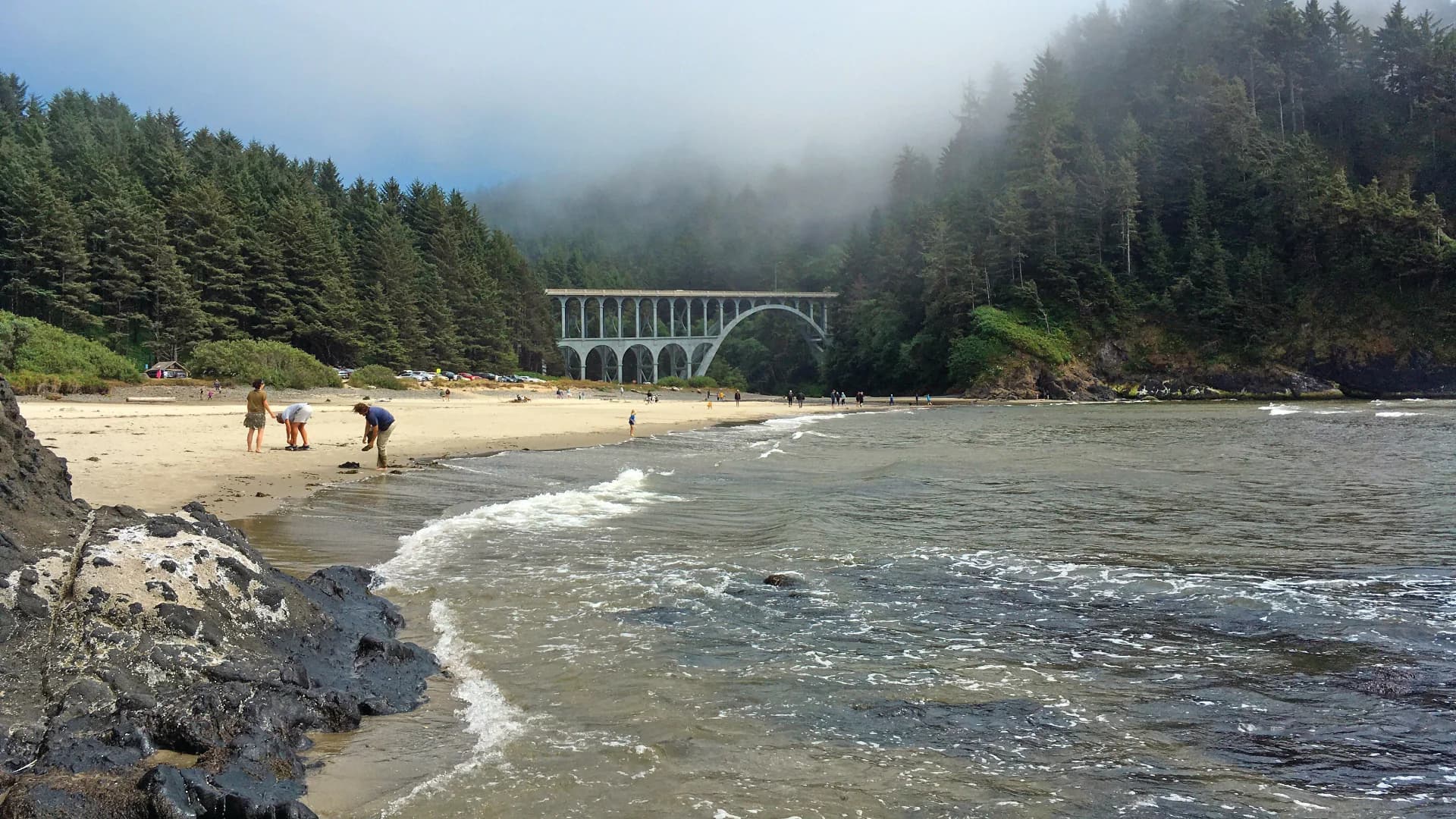 A beach scene with people exploring, a rocky shoreline, and a tall bridge in the background, surrounded by trees and fog.
