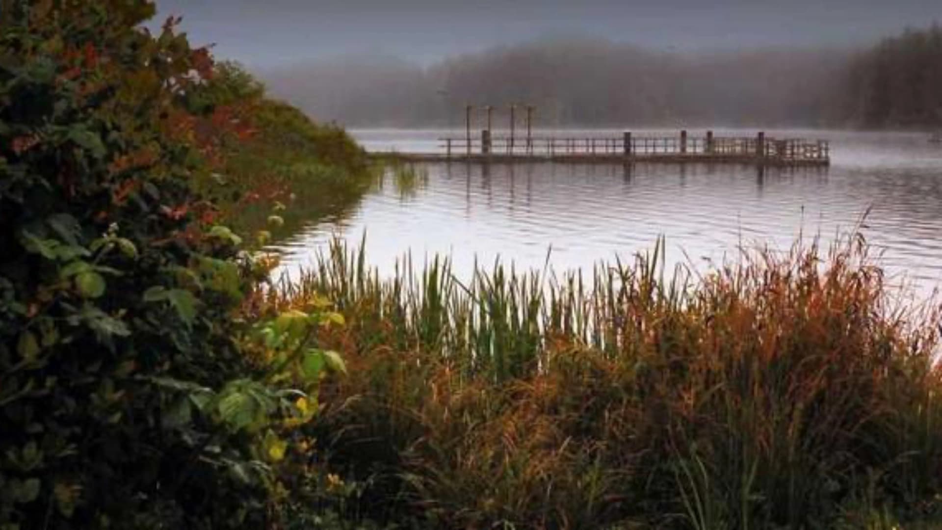 A misty lake scene with a wooden dock, surrounded by lush vegetation and water reflections.