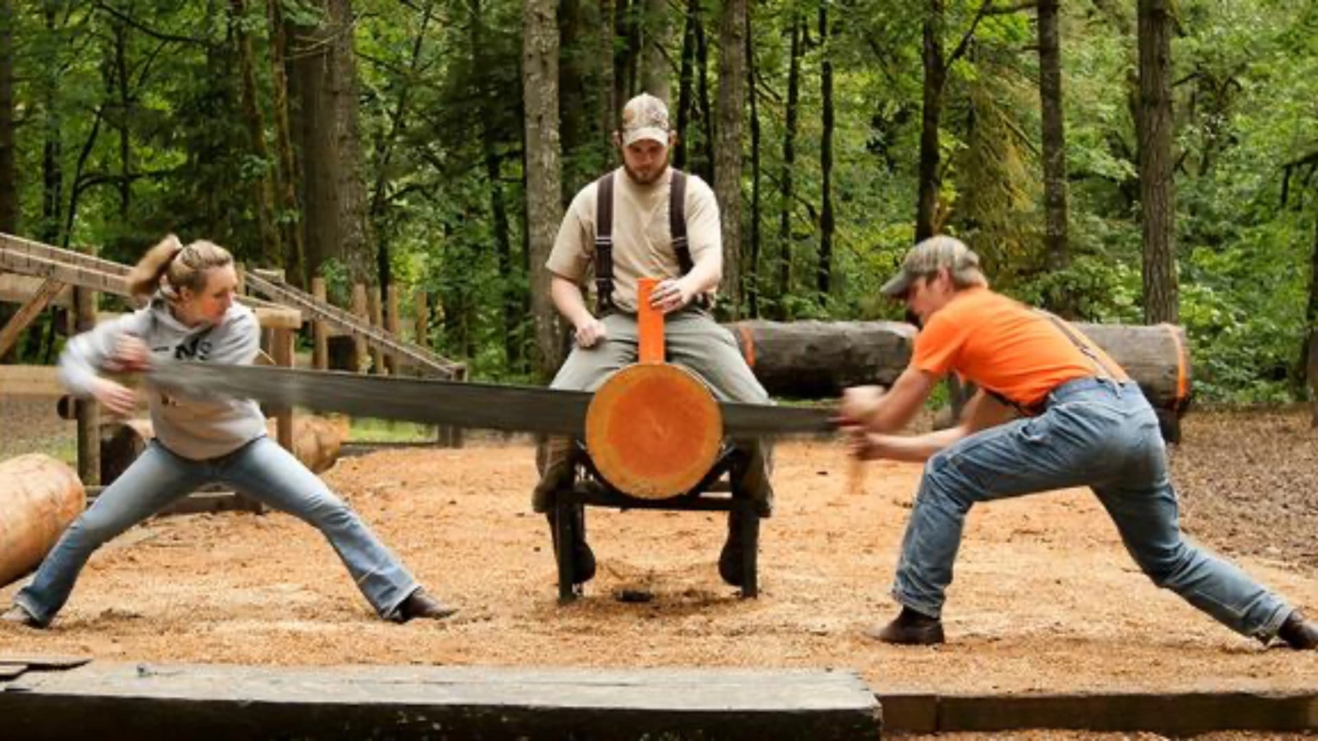 Three people are using a hand saw to cut a log in a forested area, with sawdust on the ground around them.