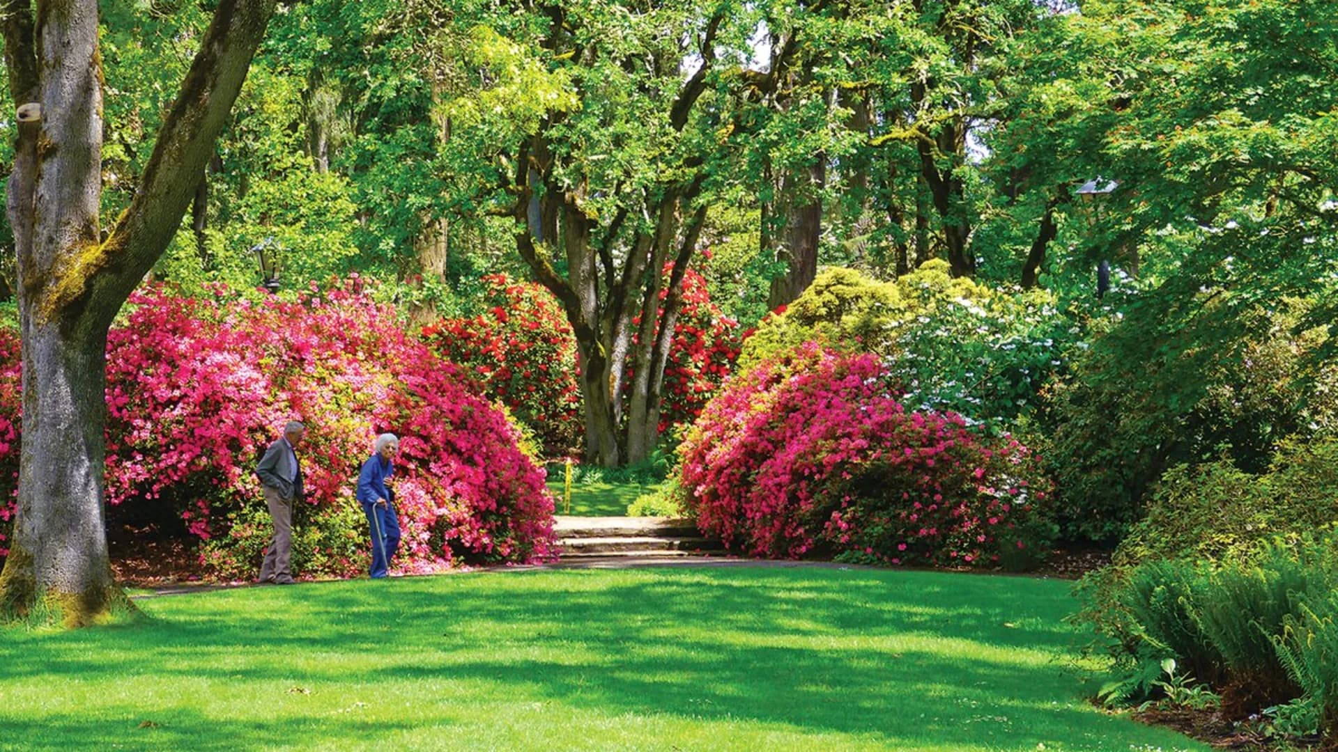 Two people walk through a vibrant garden filled with colorful flowers and lush greenery.