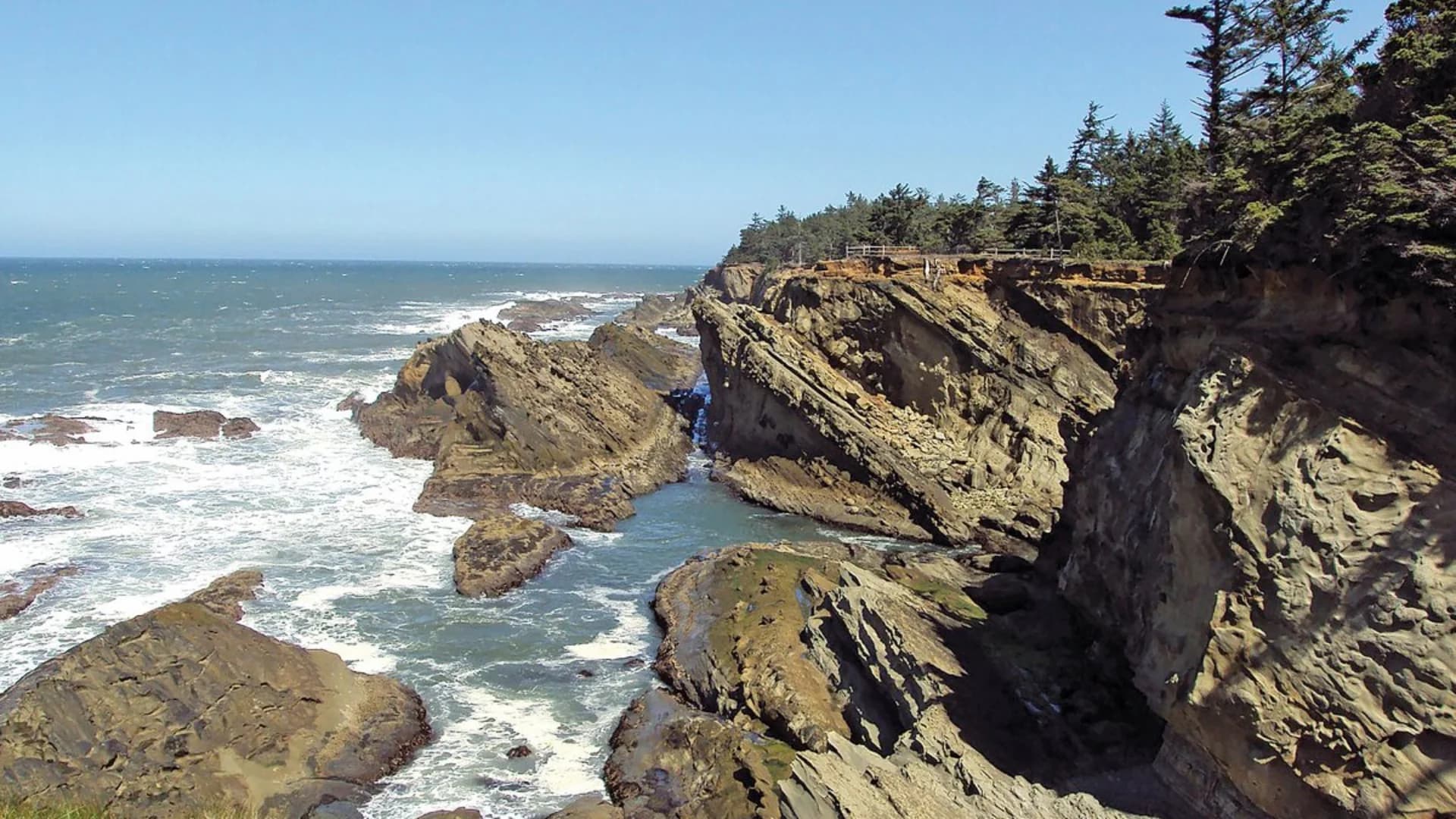 Rocky coastline with waves crashing against cliffs under a clear blue sky. Pine trees line the top of the cliffs.