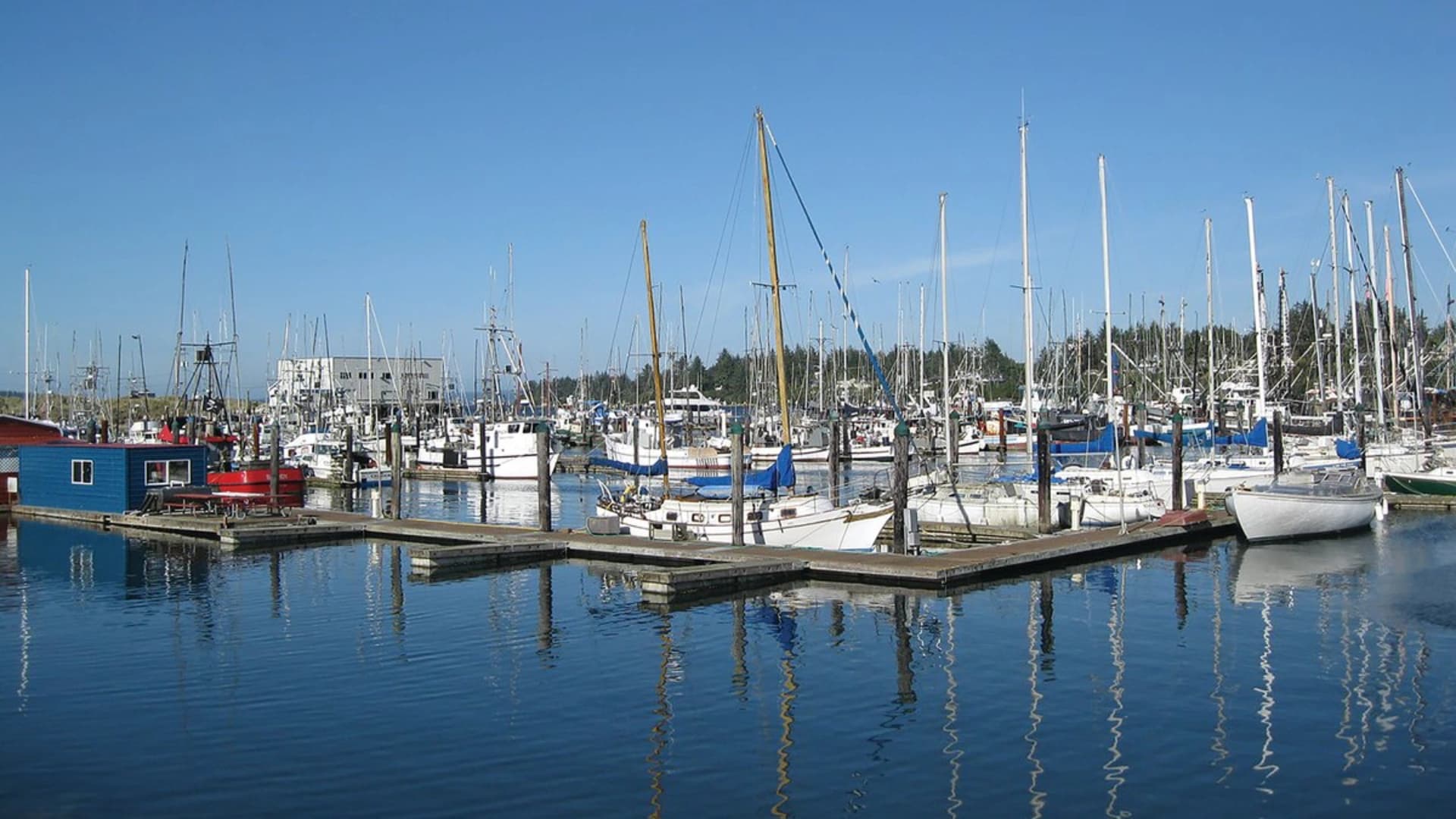 Marina scene with several boats docked, blue sky, and reflections in calm water.