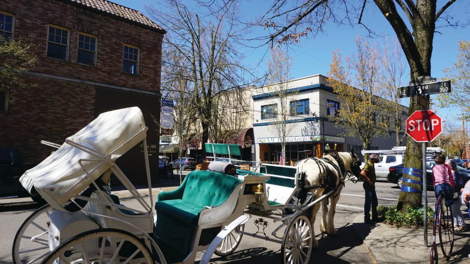 A white horse-drawn carriage with green upholstery is parked on a street near shops and a stop sign.