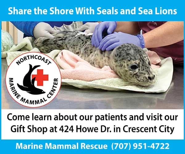 North Coast Marine Mammal Center