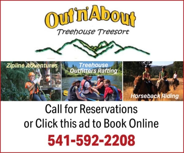 Out N About Treehouse Treesort