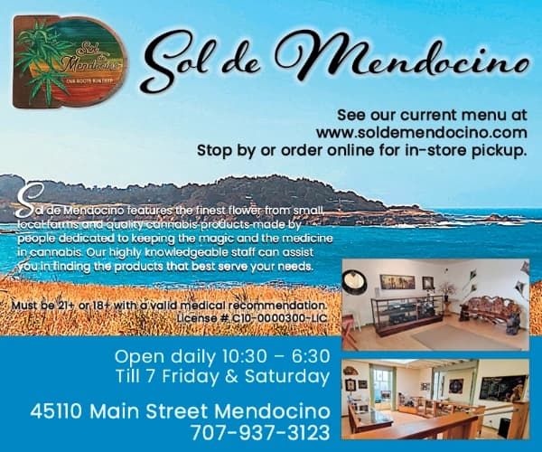 Sol de Mendocino
