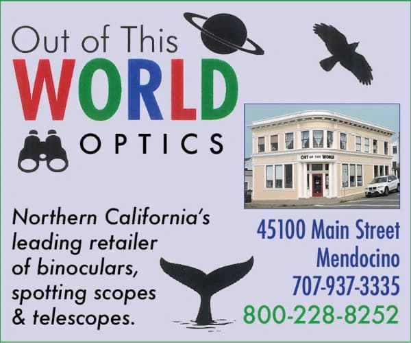 Out of This World Optics