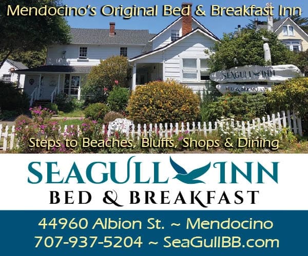Seagull Inn Bed & Breakfast