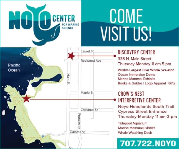Noyo Center for Marine Science