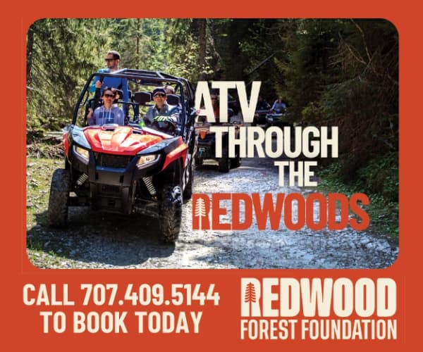 Redwood Forest Foundation