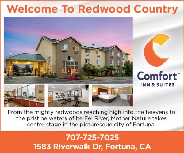 Comfort Inn & Suites- Fortuna