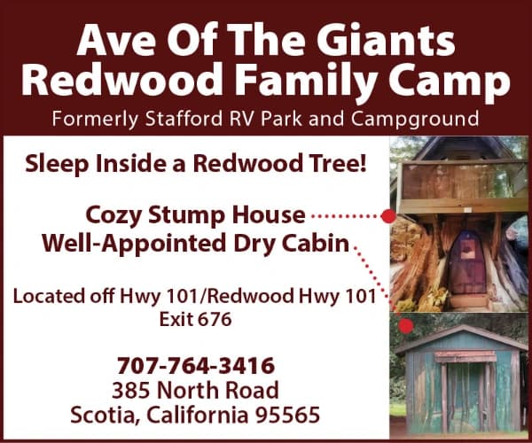 Redwood Family Camp