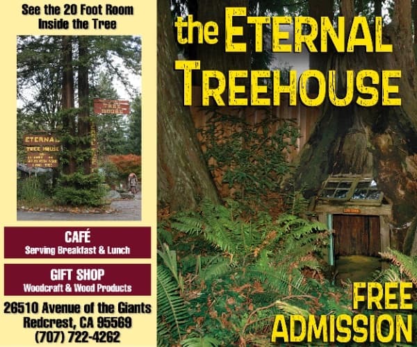 Eternal Treehouse