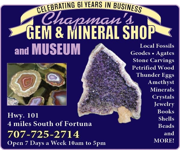 Chapman's Gem & Mineral Shop & Museum
