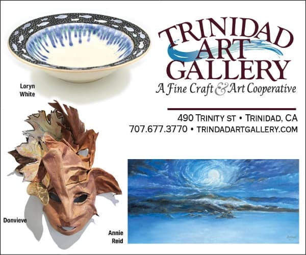 Trinidad Art Gallery
