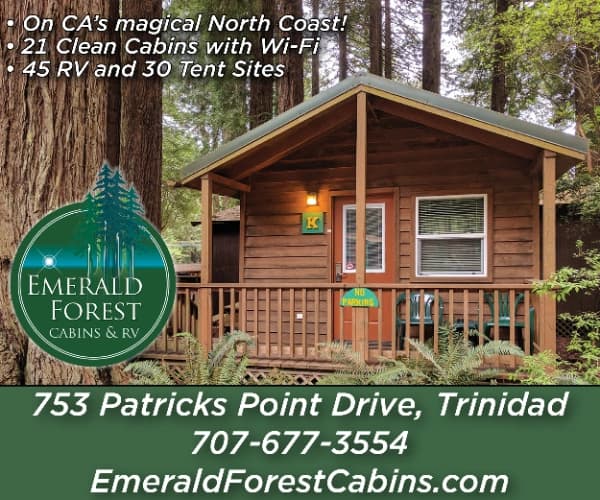Emerald Forest Cabins