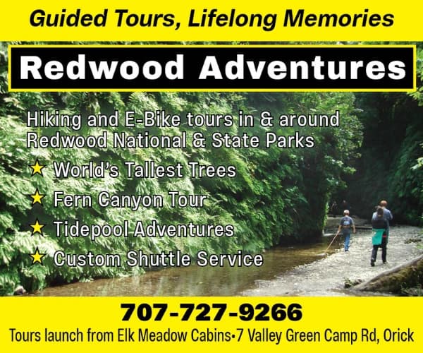 Redwood Adventures