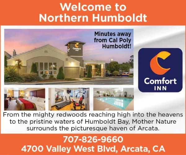 Comfort Inn- Arcata