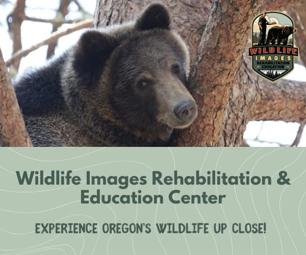 Wildlife Images Rehabilitation & Education Center