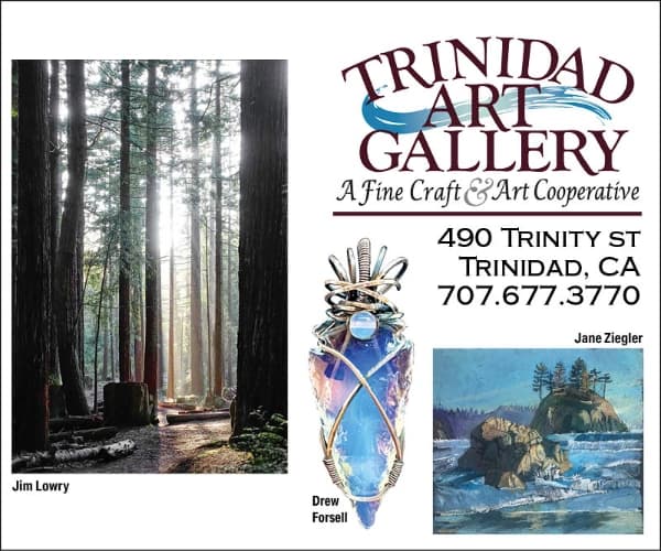 Trinidad Art Gallery flyer with forest photo by Jim Lowry and artwork by Drew Forsell and Janie Ziegler. Text: “TRINIDAD ART GALLERY”